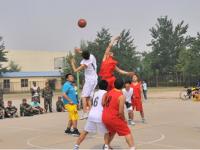 斯特拉斯堡VS图卢兹直播_斯特拉斯堡VS图卢兹免费在线高清直播_斯特拉斯堡VS图卢兹视频在线观看无插件