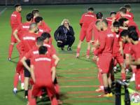 狼队VS桑德兰直播_狼队VS桑德兰免费在线高清直播_狼队VS桑德兰视频在线观看无插件